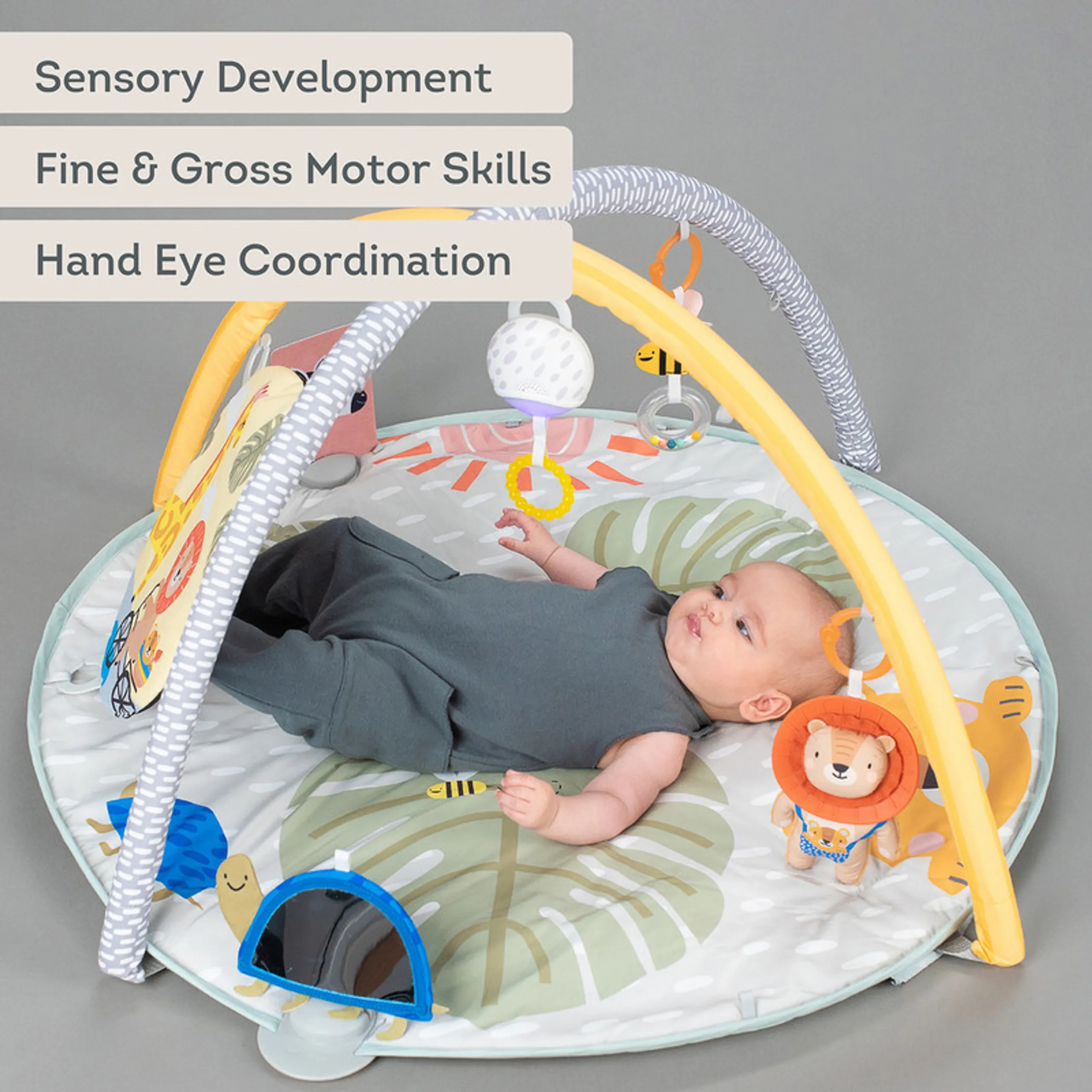 Savannah 360 Activity Gym - 0 month