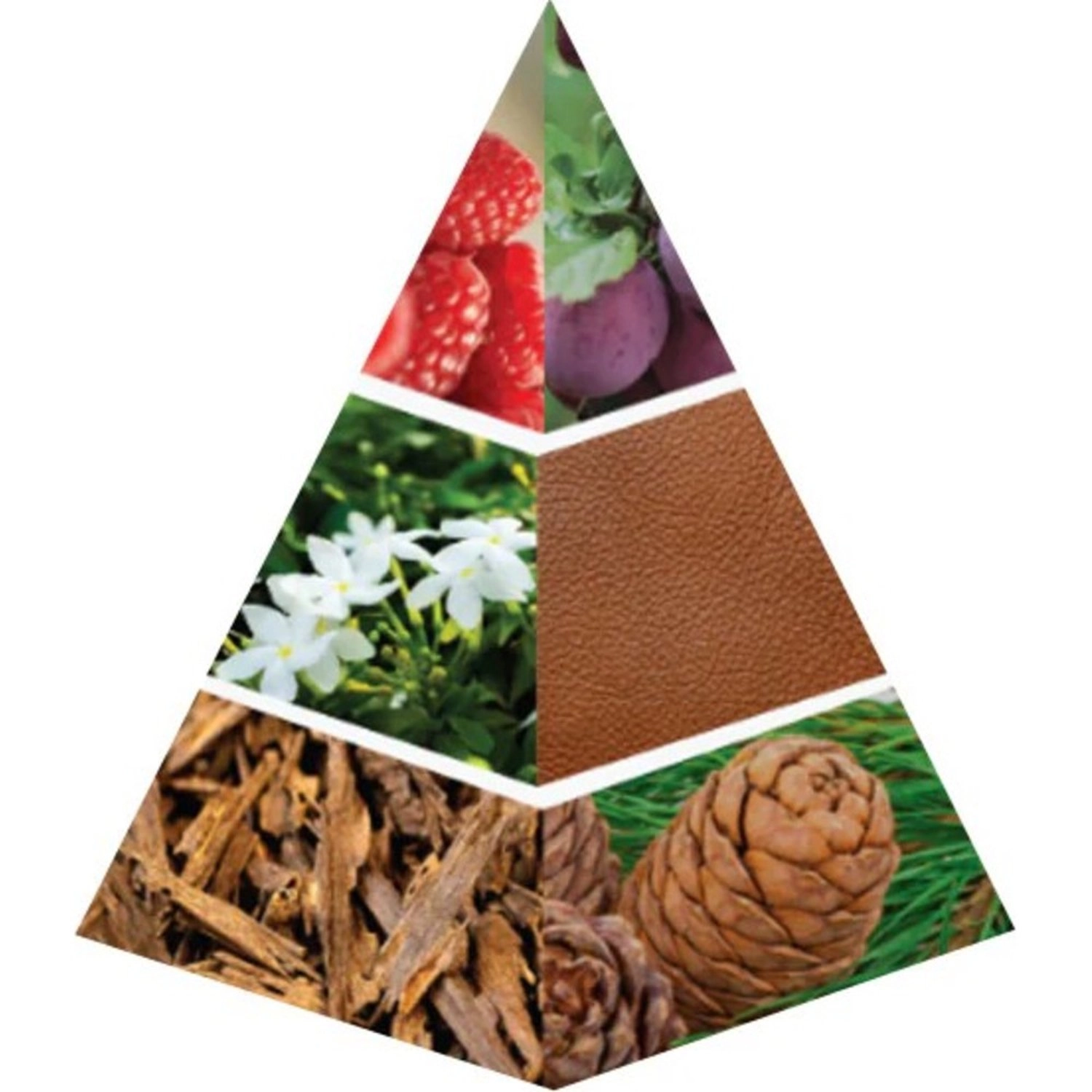 Night of Success Eau de Parfum 75ml