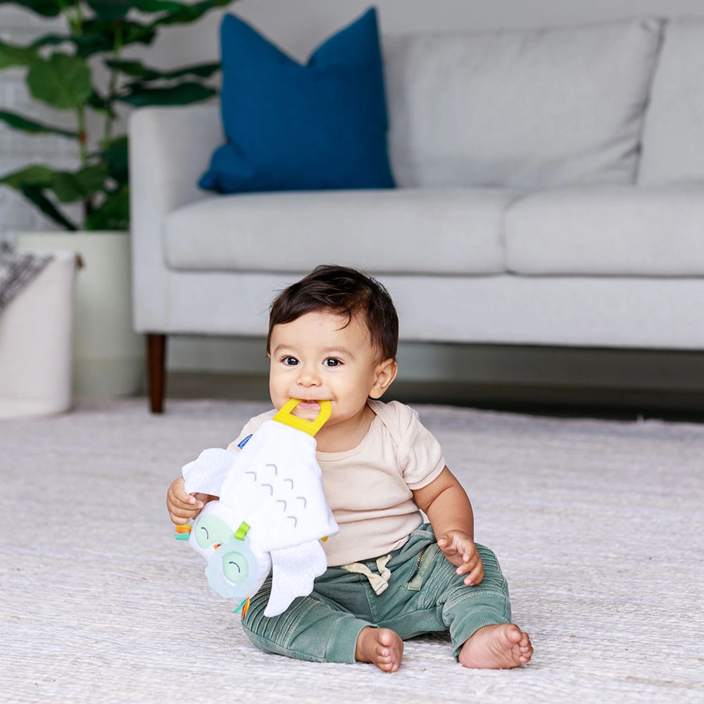Glow-In-The-Dark Cuddle & Teether - Owl
