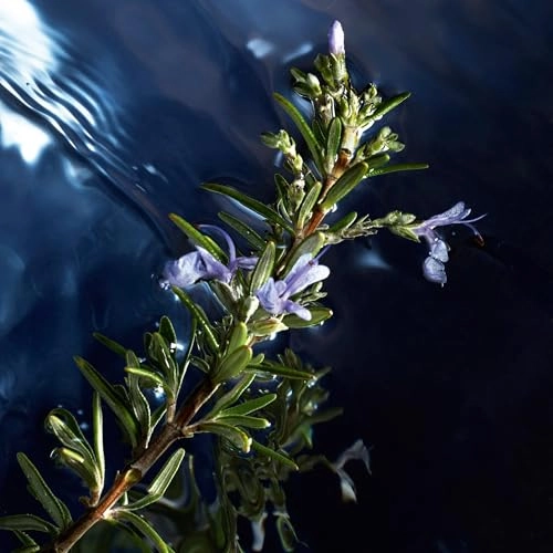 Cool Water Reborn Eau de Toilette 125 ml