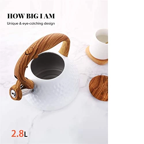 Kettle - Stainless steel 2500 milliliter