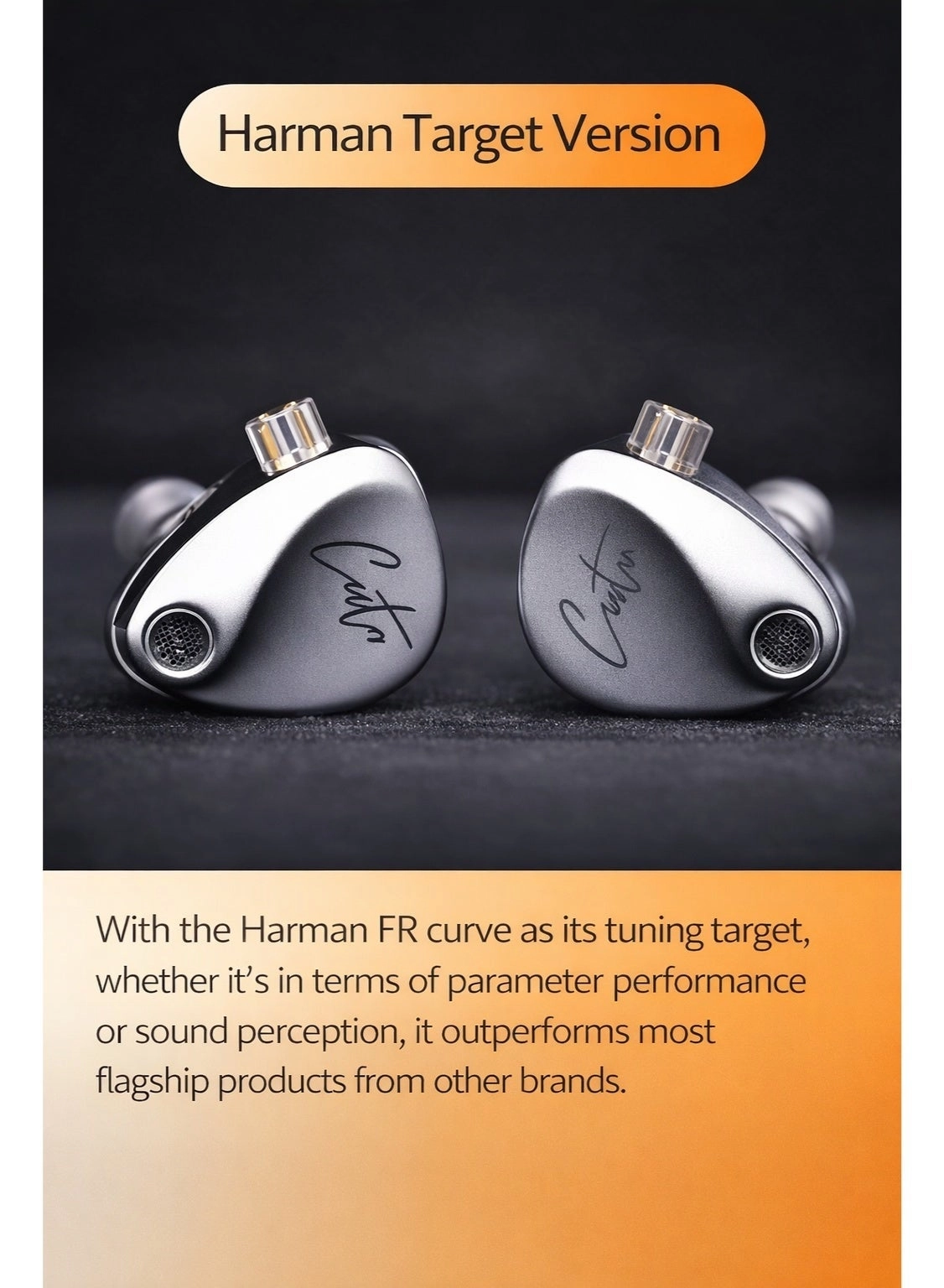 Castor 2DD - Wired Earphone