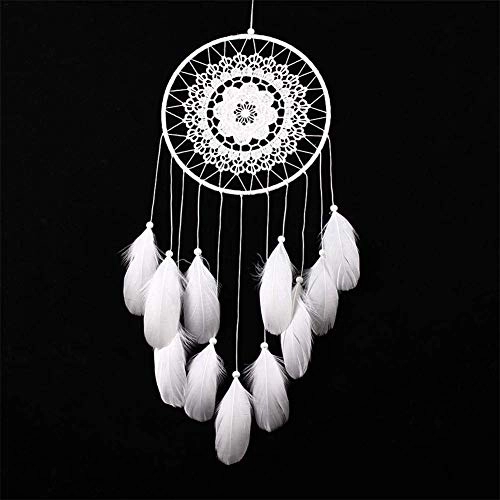 Dreamcatcher - Siderosphere, feathers, lines, wood beads.