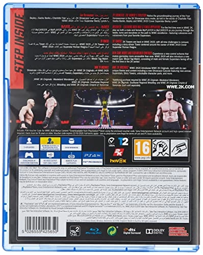 WWE 2K20 Regular Edition - PlayStation 4