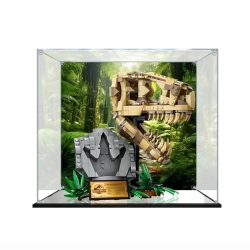 Figures Display Box - 76964 Acrylic 25x20x25cm