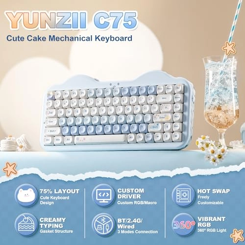 C75 - EN Wireless