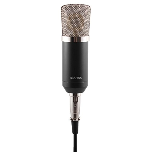 BM-700 3.5mm-Mini-Jack Microphone