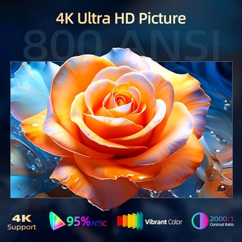 VF500 Pro VF500 800 ANSI Lumen
