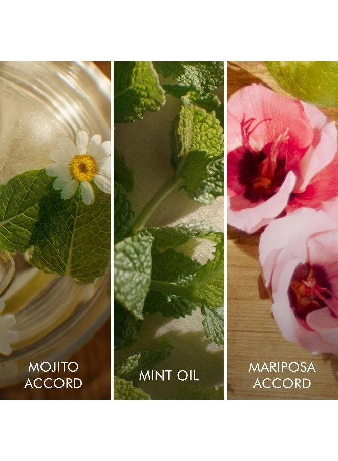 Brisa Cubana Eau de Toilette