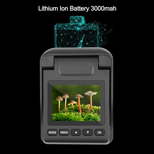 Nurnesymg13igsbr9 4K10