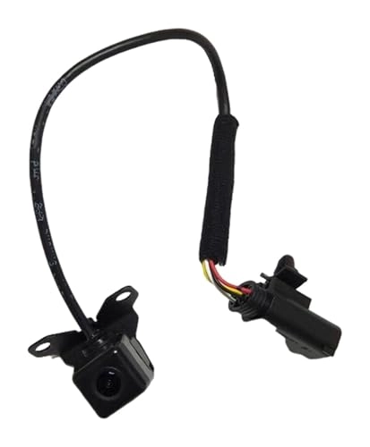 Reversing Camera - Night vision