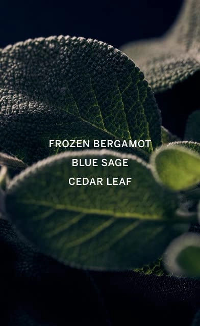 Vs Him Deepwater Eau de Parfum 50 ml