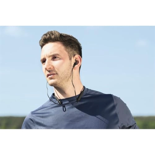 Freedom Lit III Wireless Headphone