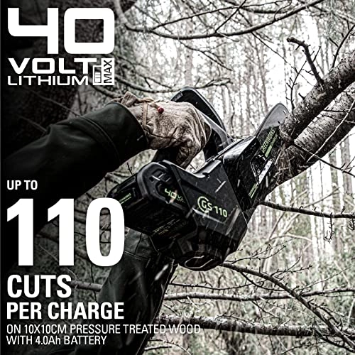 GD40TCS - 1000 watts