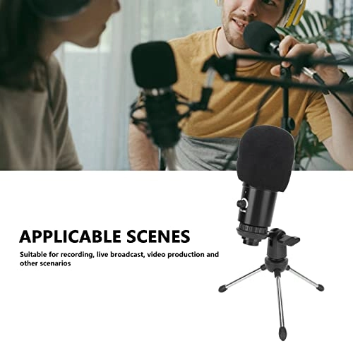 c4gspifouy USB Microphone Bundle