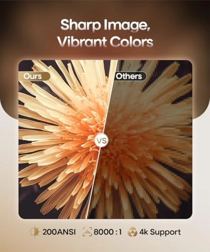 Freestyle HY300 200 ANSI