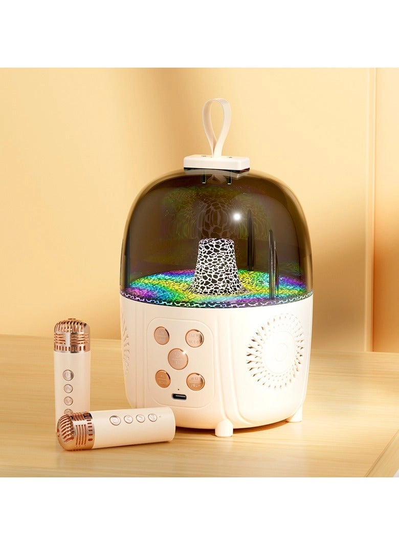 P2 - Dual Microphone Wireless karaoke