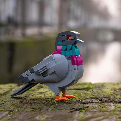 Feral Pigeon - Bird 255 pcs