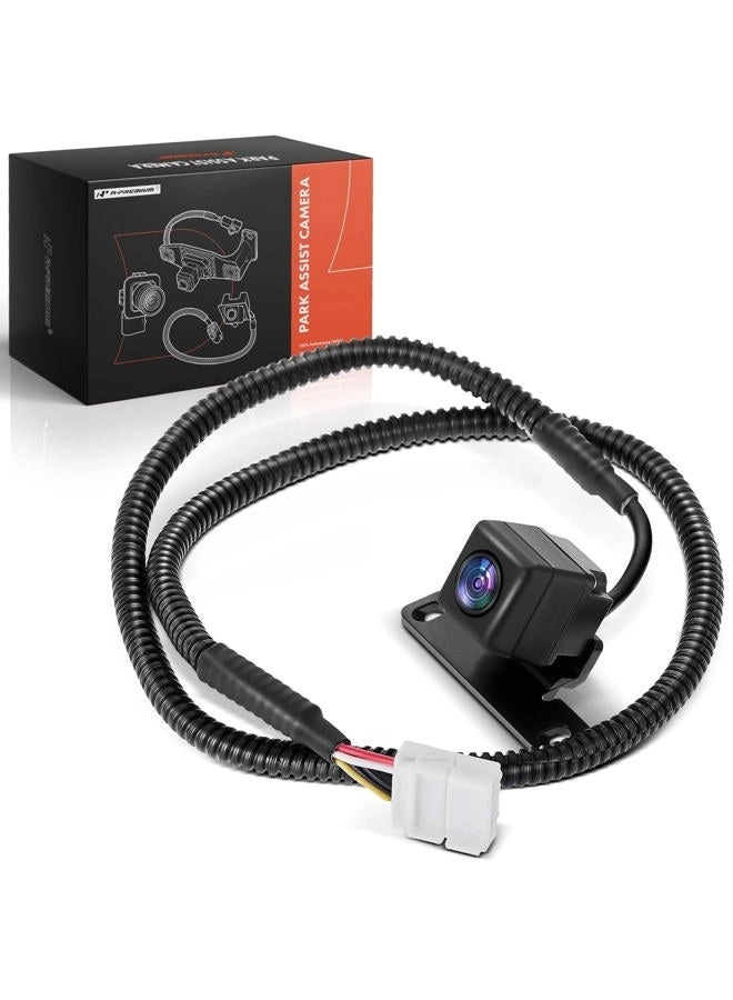 Park Assist Camera