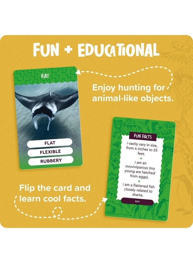 Outdoor Scavenger Hunt Card Game - 4 & Up