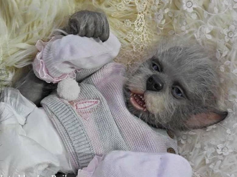 Lula Kane Reborn Doll - 18 Inch Unfinished Kit