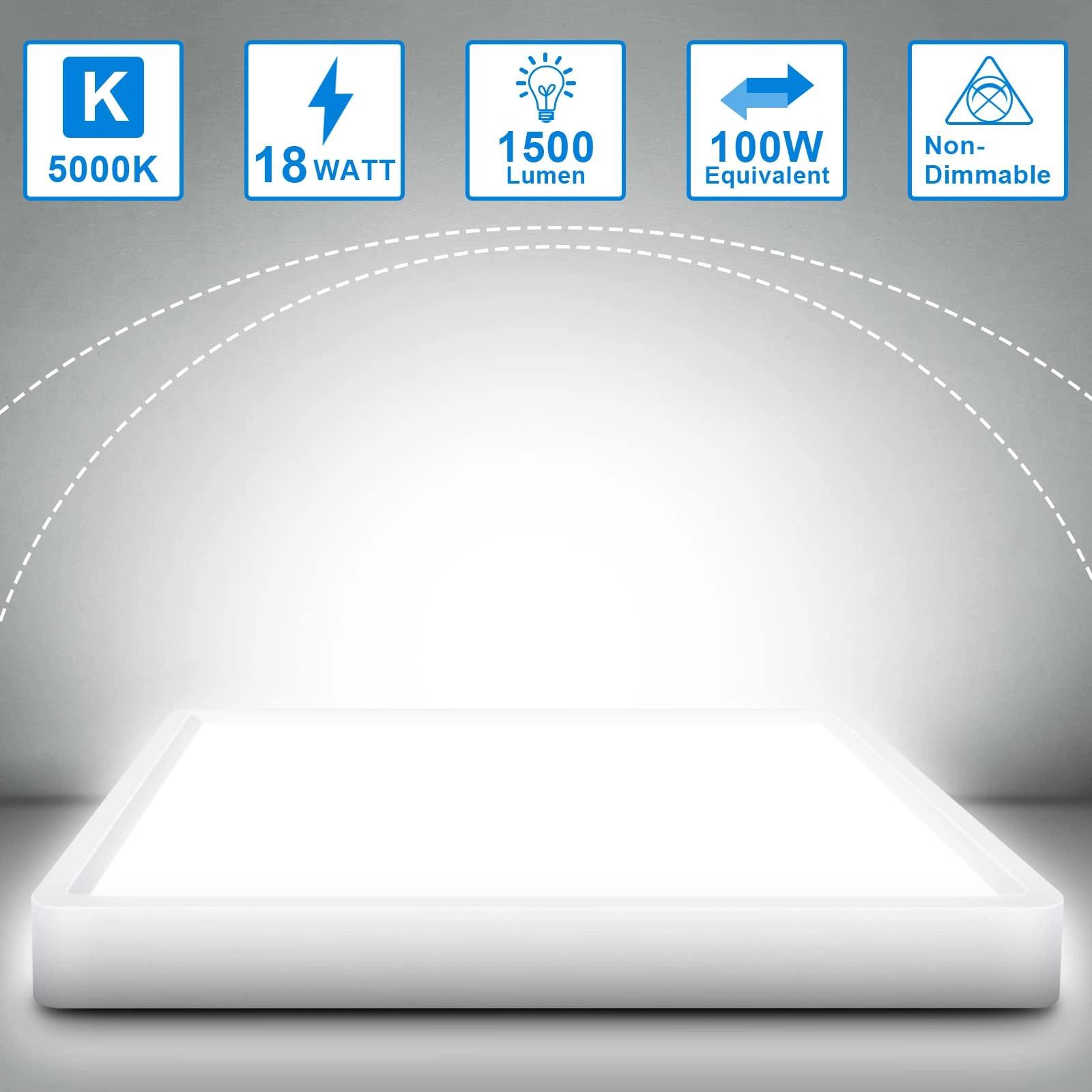 LED Ceiling Light - 5000K Daylight White