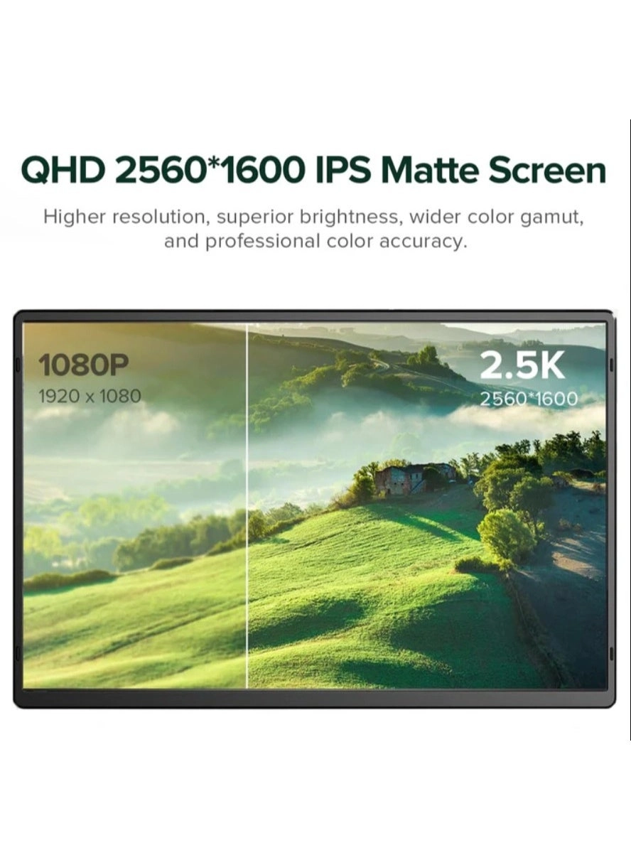 N3Pro - 16 in 2560x1600