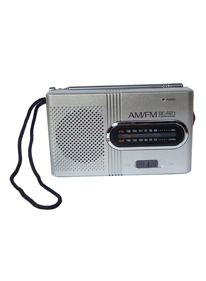 V581 - Portable Mini Radio