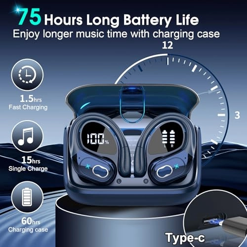 HD65 Wireless Earbud