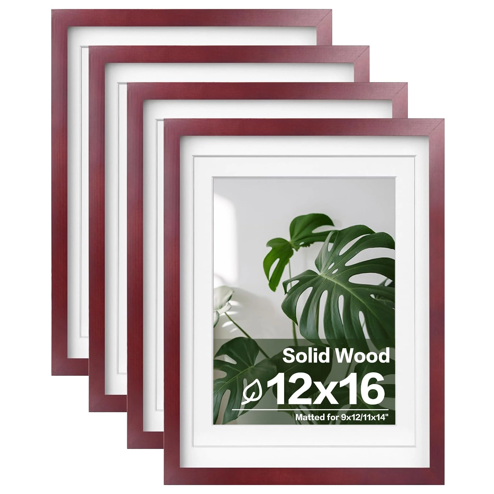 picture frames - 12x16