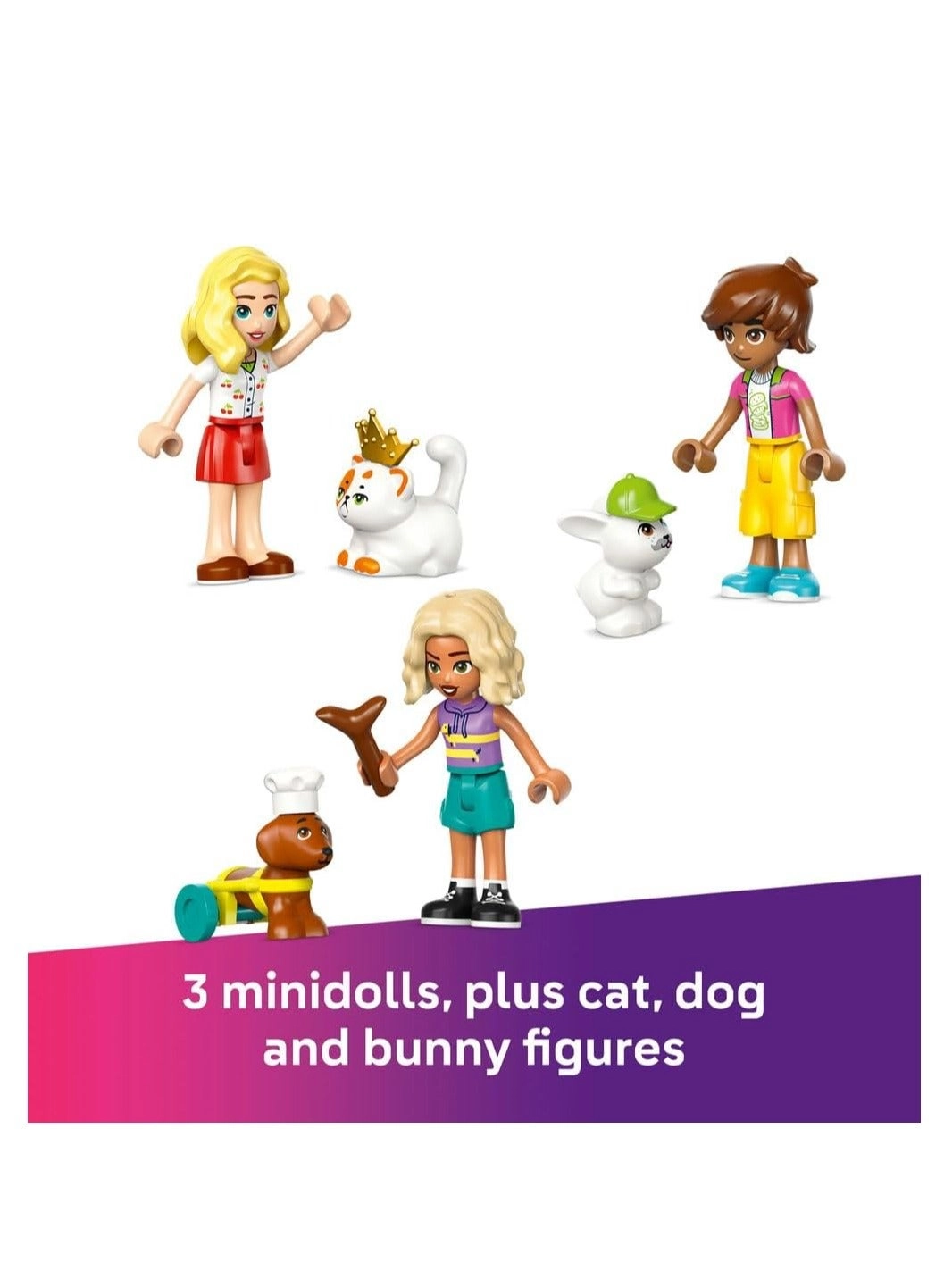 Friends Pet Accessories Shop (42650)