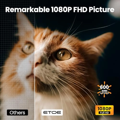 E3 Pro 600 ANSI lumens