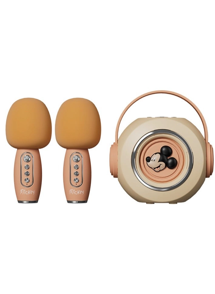 Dual Microphone Sound Package Wireless Microphone