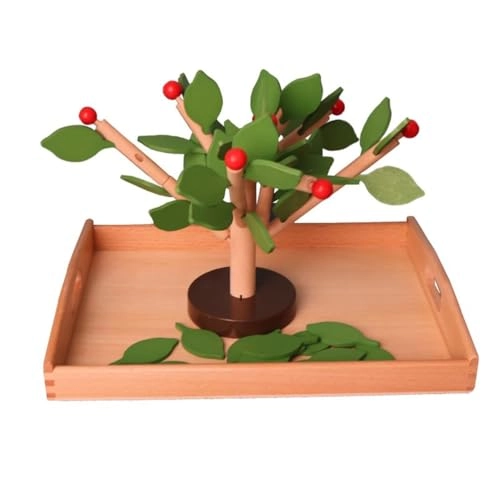 Montessori Wooden DIY Assembling - 6 - 15 years