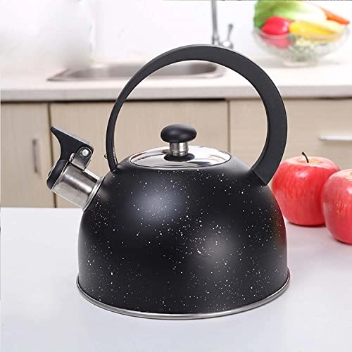 Stainless Steel Kettle - 2.5L