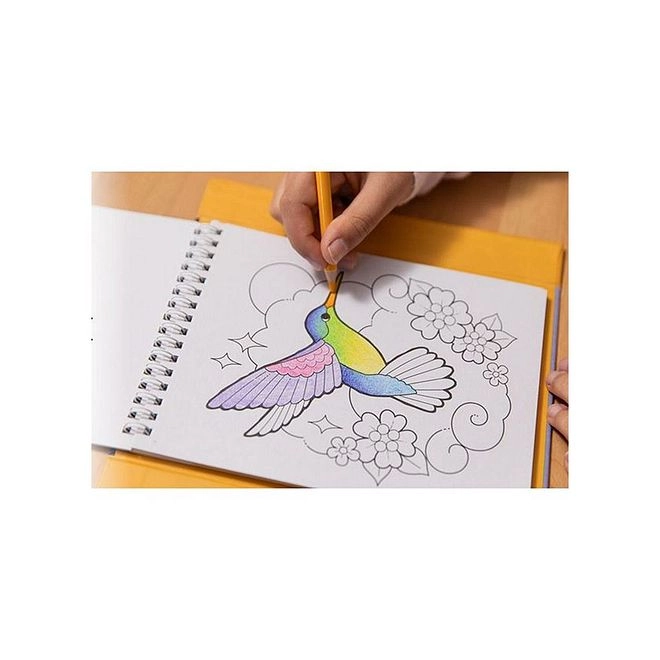 Pencil Art - 20 colours