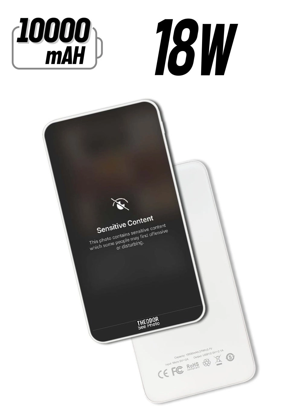 Theodor PPBA528 - 10000 Watt-hour 18W PD output