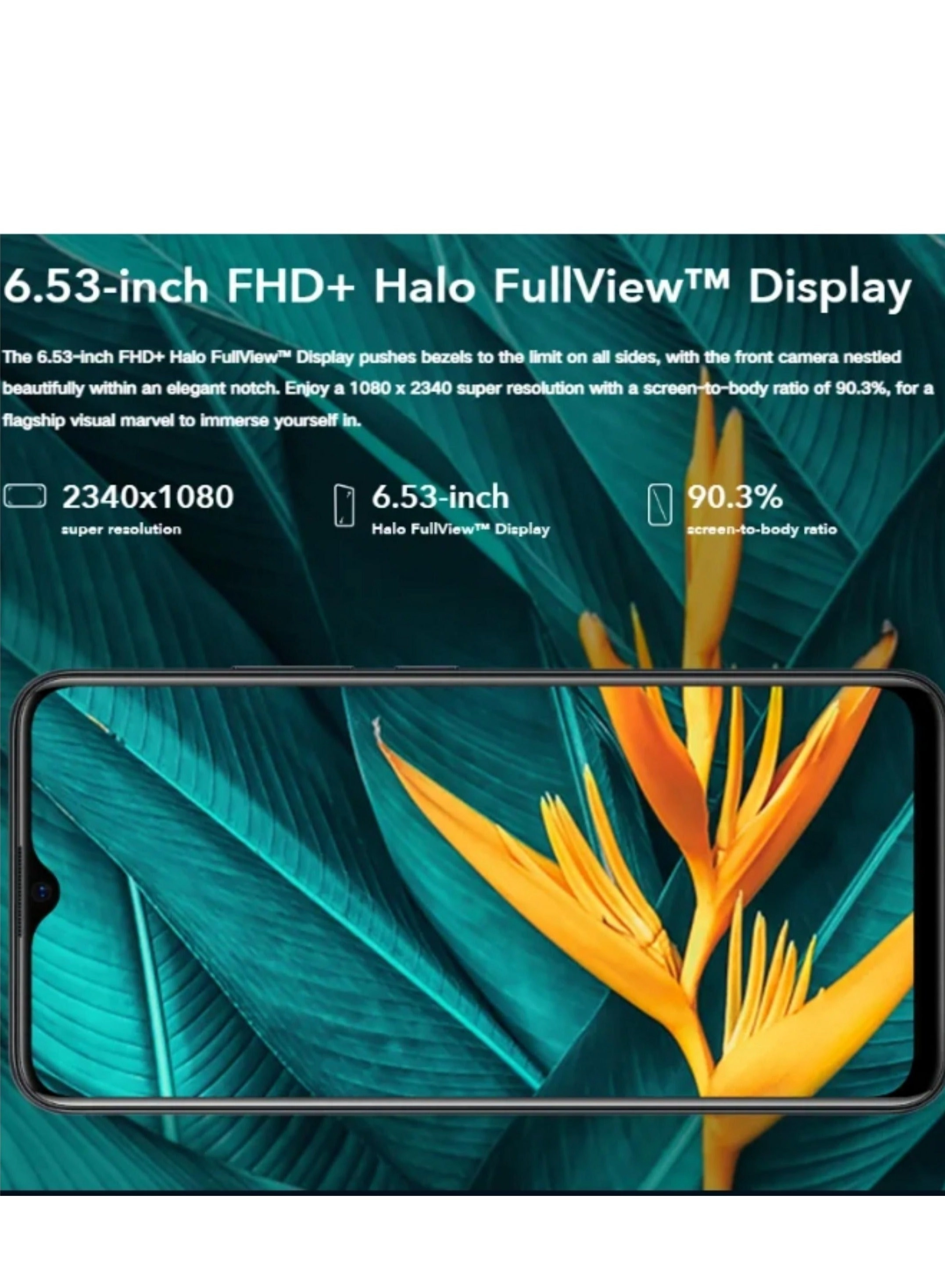 Y19 - 8 GB 256 GB
