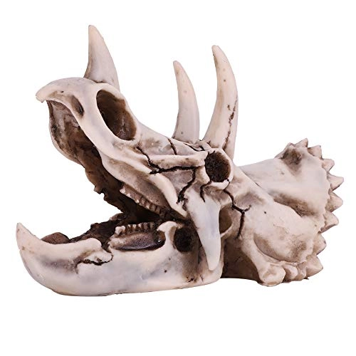Triceratops Skull - 14 centimeters
