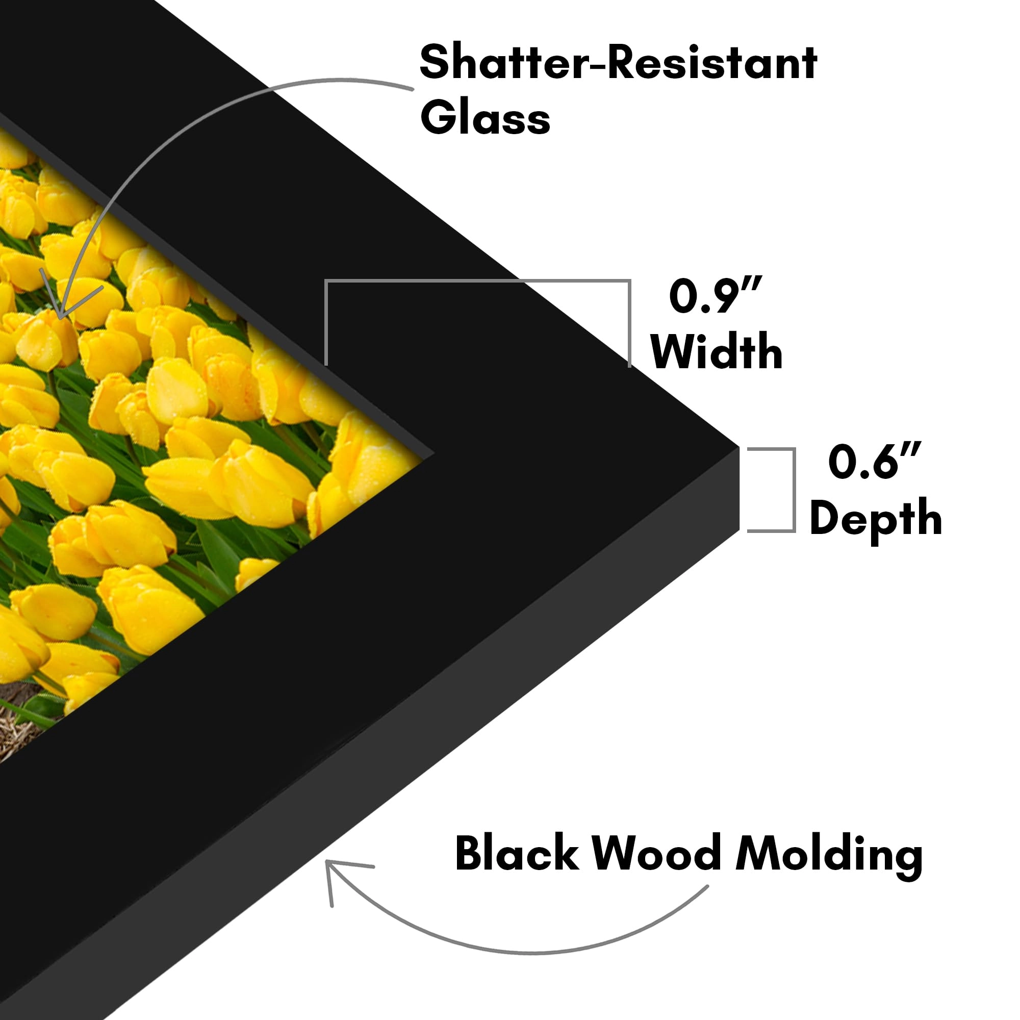 Picture Frame - 4x6 1.0 Count