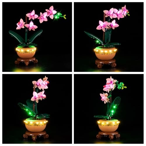 LED Lighting Set - for 10343 Mini Orchid Continuous Light Kit 5 V