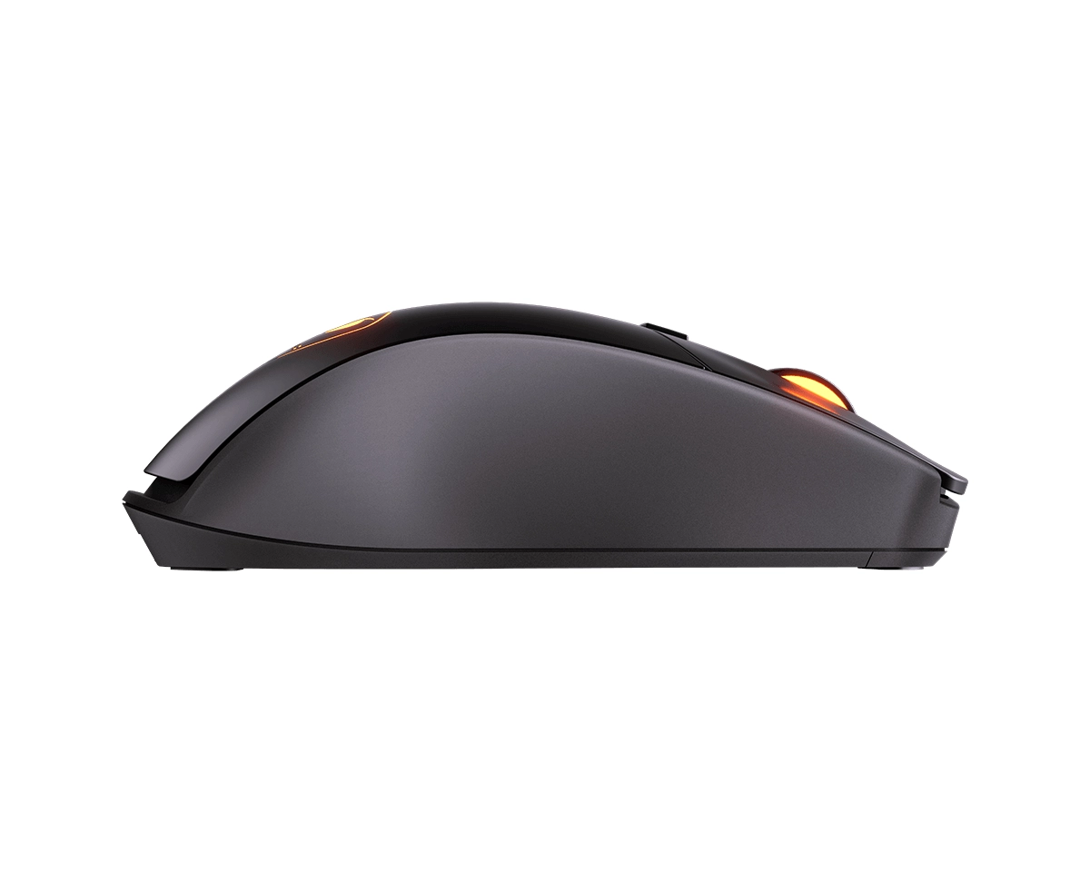 Surpassion RX - Wireless