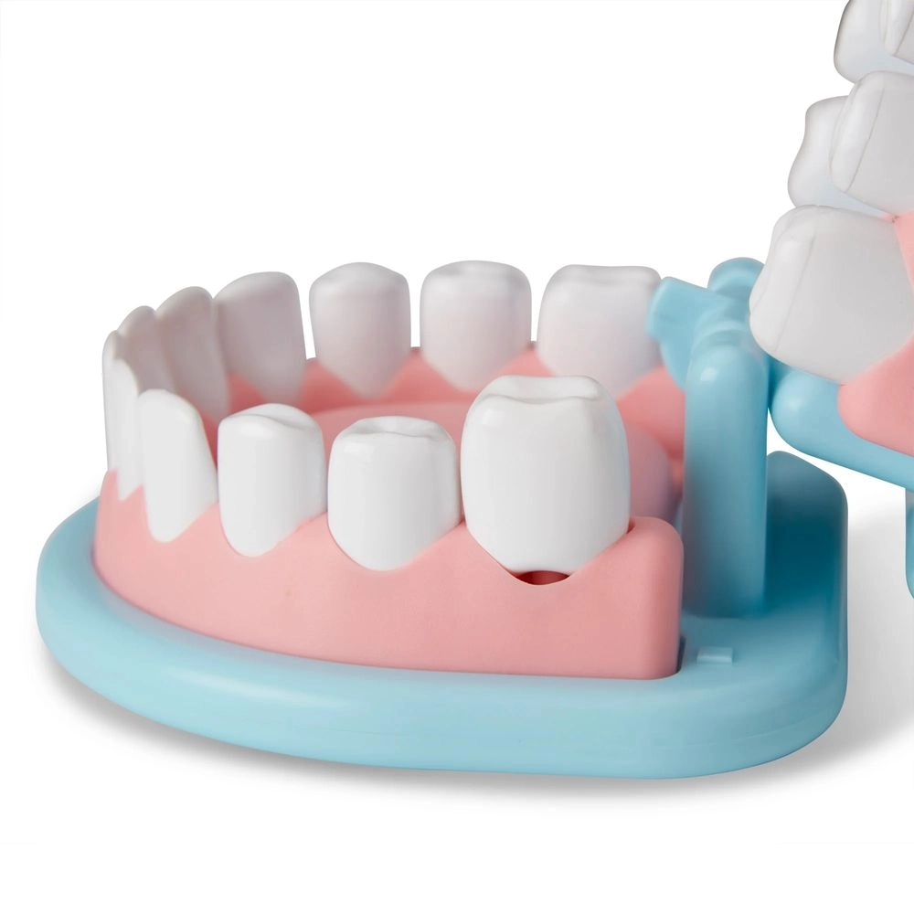 Super Smile Dentist Kit - Suitable for 3 years & above 25 pieces