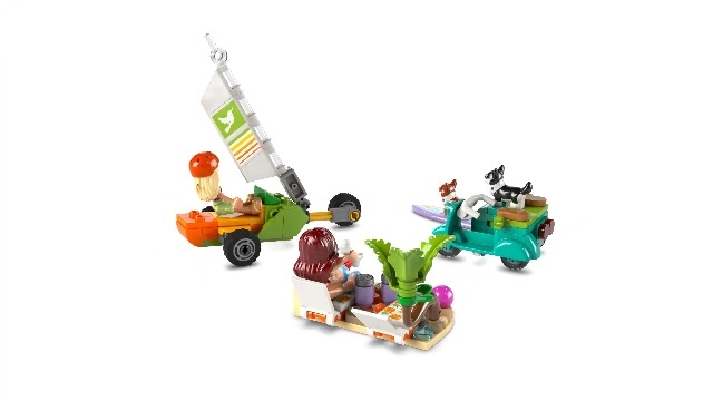 Friends Surfing Dogs and Scooter Adventure (42641)