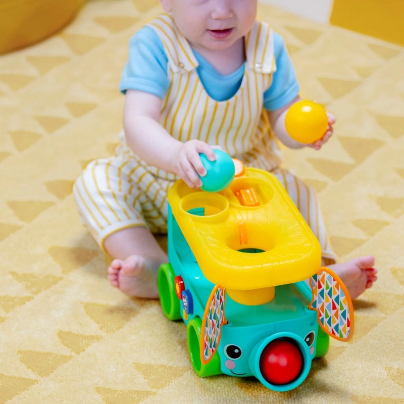 Pop & Roll Safari Bus - 6 months 85% Plastic, 15% Metal Jungle safari 4 Pcs