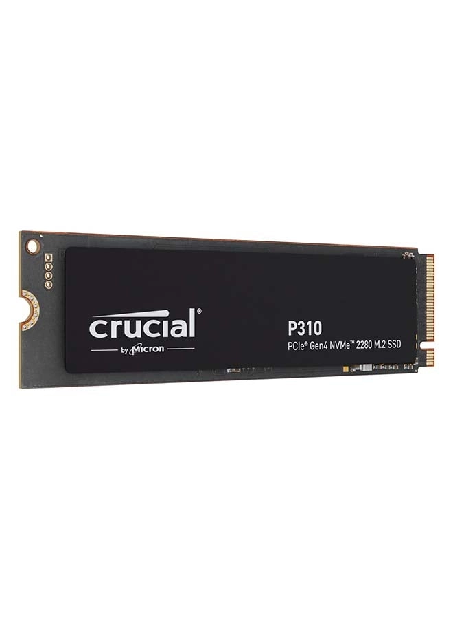 P310 - 2TB M.2