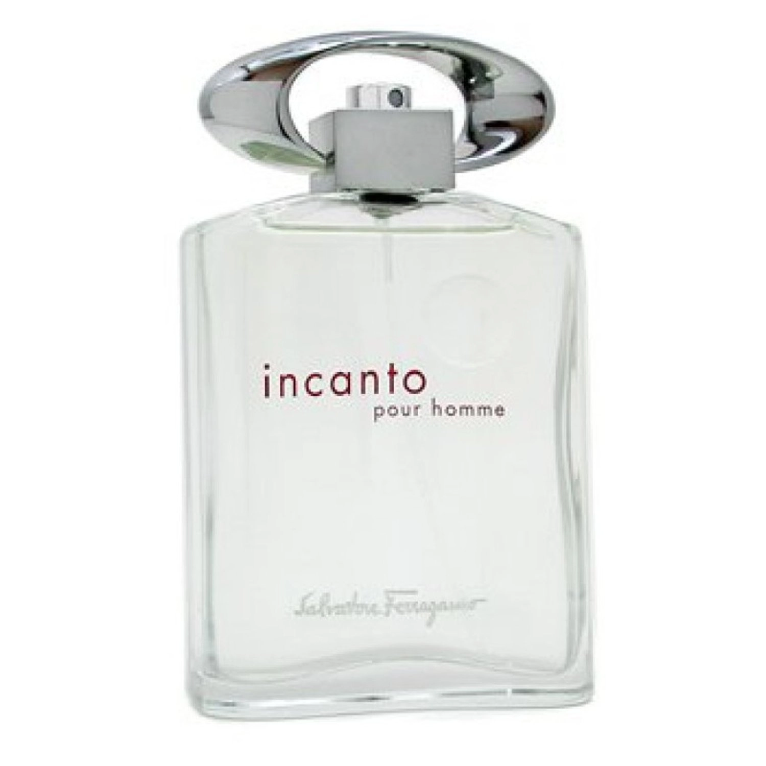 Incanto Pour Homme Eau de Toilette 100 ml