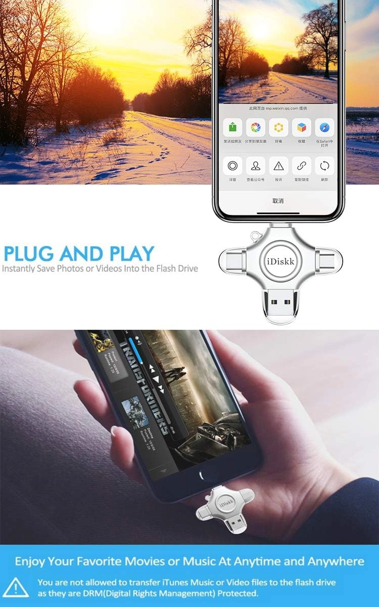 Flash Drive - for iPhone 512GB