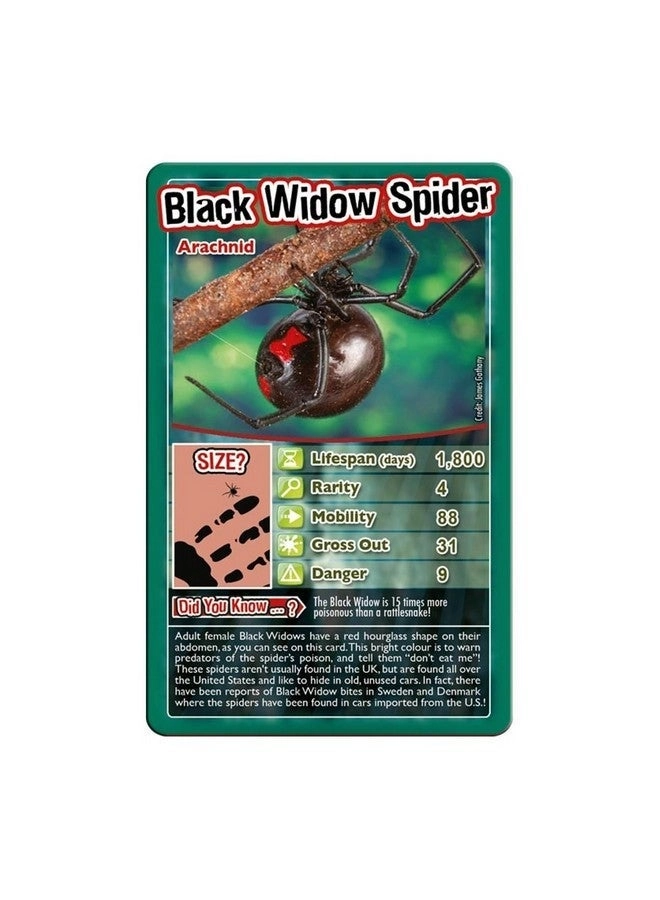 Bugs Classic Card Game - 6 years+