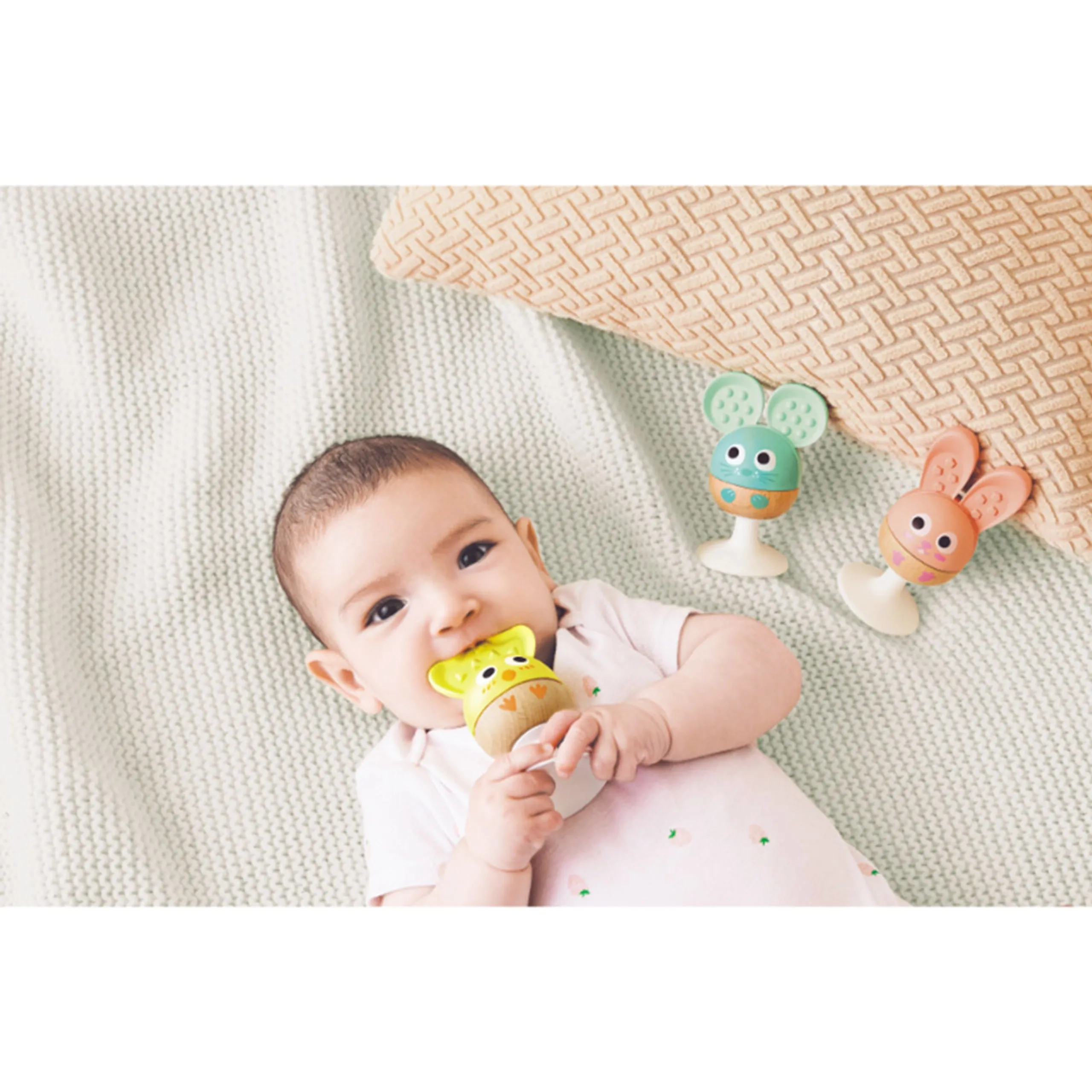 Cheery Critter - Teether Rattle Suction Cup 3 Pcs